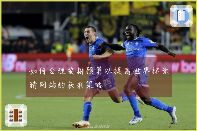 如何合理安排预算以提高世界杯竞猜网站的获利策略