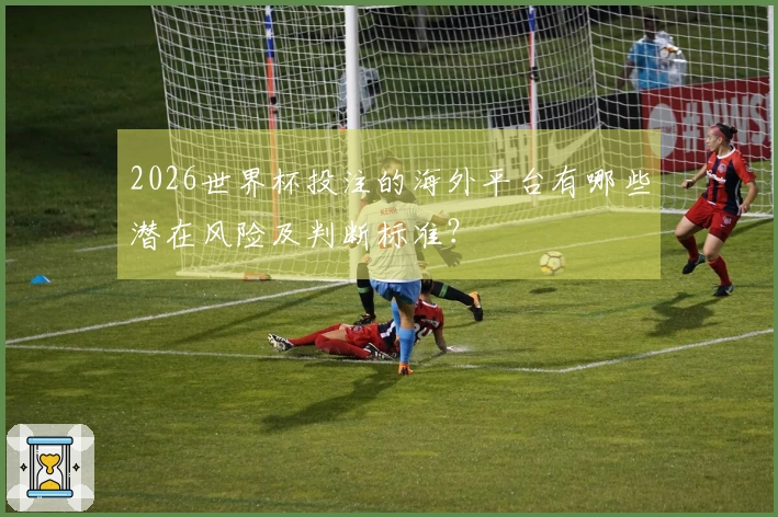2026世界杯投注的海外平台有哪些潜在风险及判断标准？