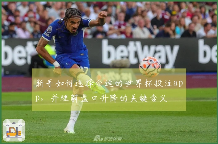 新手如何选择合适的世界杯投注app，并理解盘口升降的关键含义