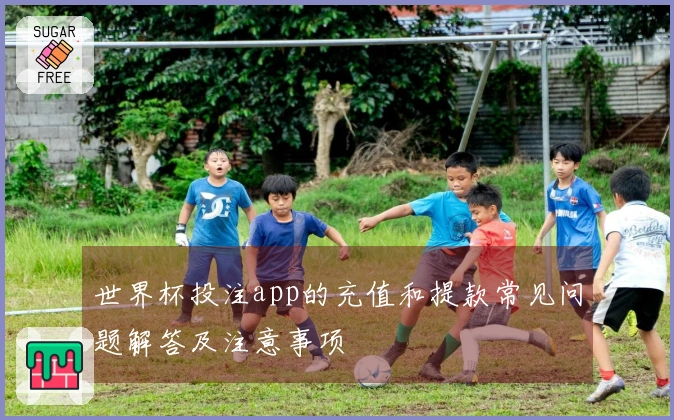 世界杯投注app的充值和提款常见问题解答及注意事项