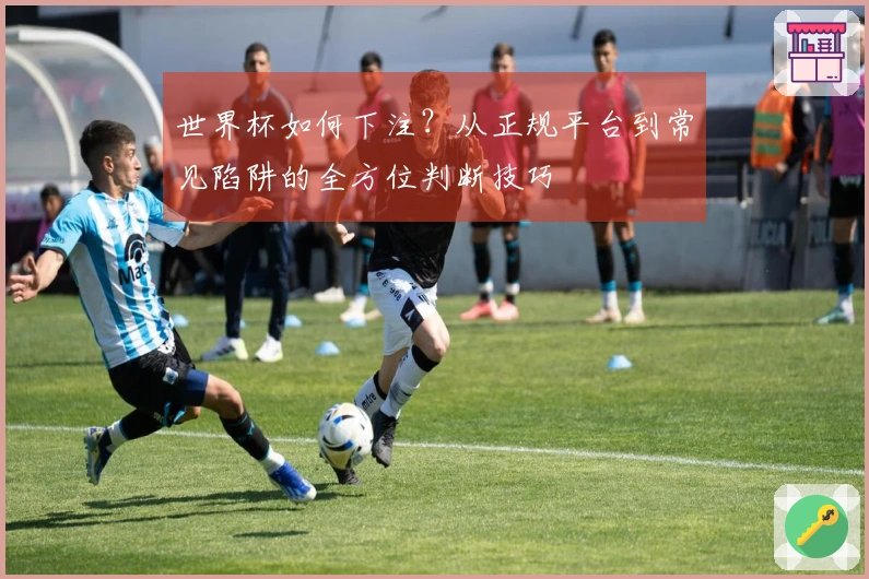 世界杯如何下注？从正规平台到常见陷阱的全方位判断技巧