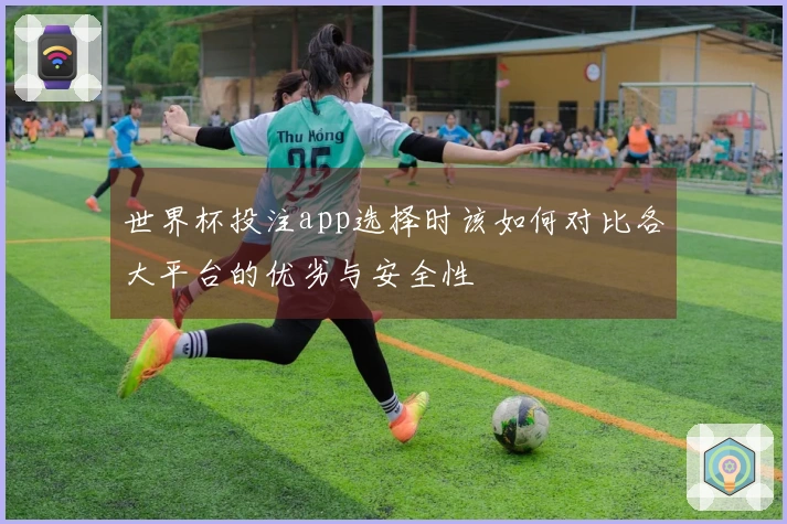 世界杯投注app选择时该如何对比各大平台的优劣与安全性