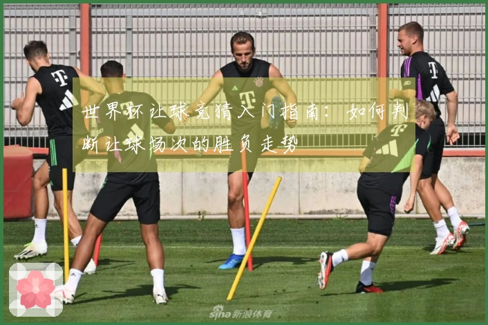 世界杯让球竞猜入门指南：如何判断让球场次的胜负走势