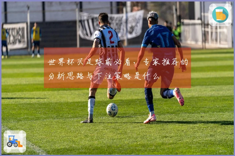 世界杯买足球前必看，专家推荐的分析思路与下注策略是什么