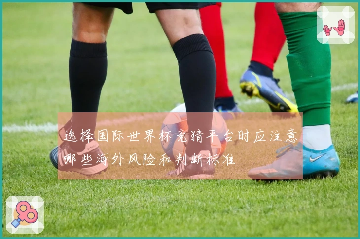 选择国际世界杯竞猜平台时应注意哪些海外风险和判断标准
