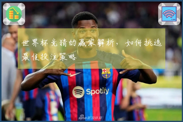 世界杯竞猜的赢家解析，如何挑选最佳投注策略