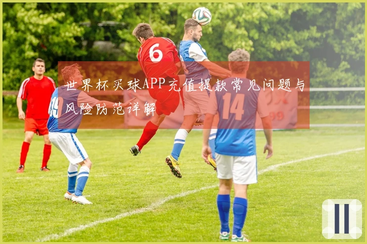 世界杯买球APP充值提款常见问题与风险防范详解