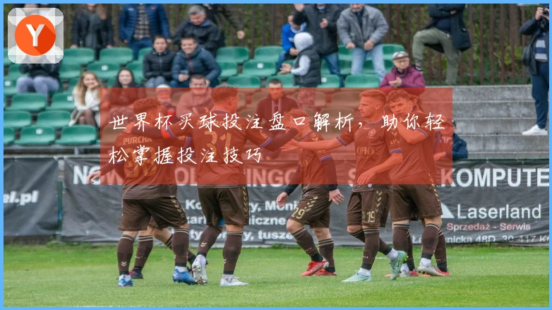世界杯买球投注盘口解析，助你轻松掌握投注技巧
