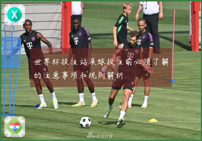 世界杯投注站滚球投注前必须了解的注意事项和规则解析