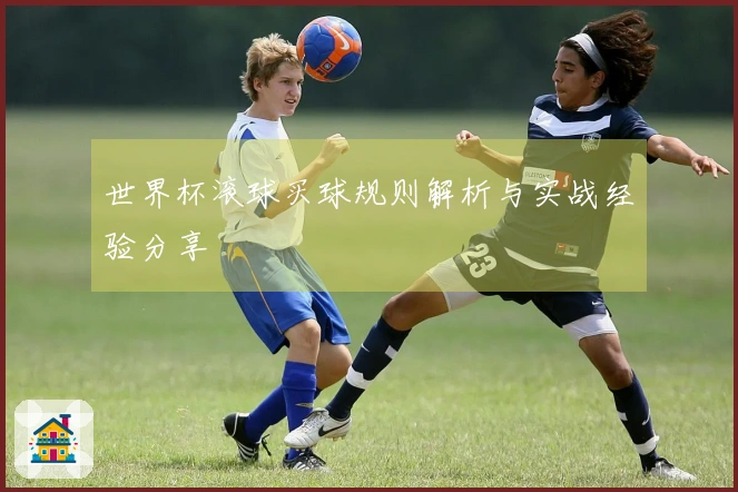 世界杯滚球买球规则解析与实战经验分享