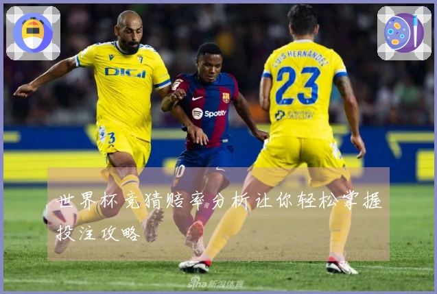 世界杯竞猜赔率分析让你轻松掌握投注攻略