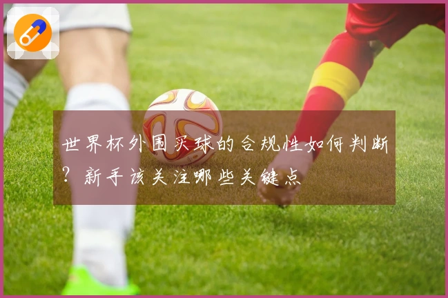 世界杯外围买球的合规性如何判断？新手该关注哪些关键点