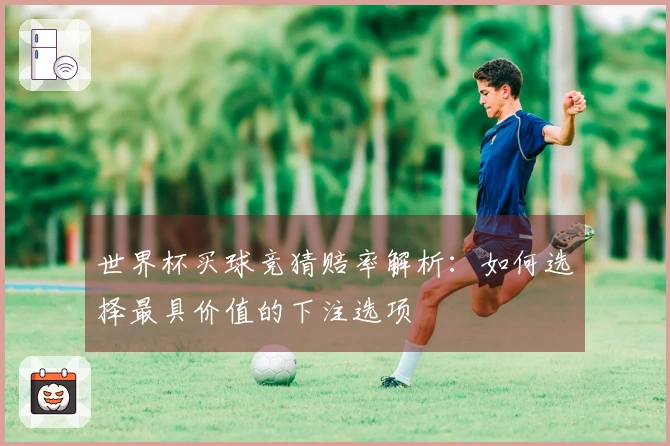 世界杯买球竞猜赔率解析：如何选择最具价值的下注选项