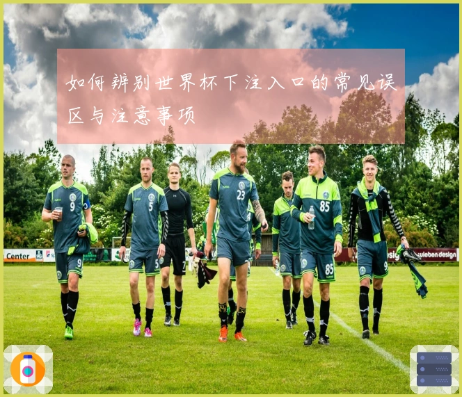 如何辨别世界杯下注入口的常见误区与注意事项