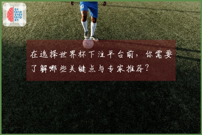 在选择世界杯下注平台前，你需要了解哪些关键点与专家推荐？