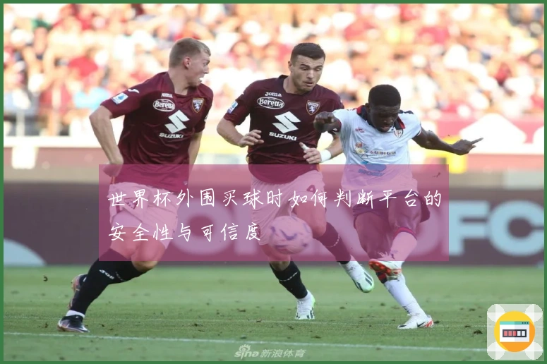 世界杯外围买球时如何判断平台的安全性与可信度