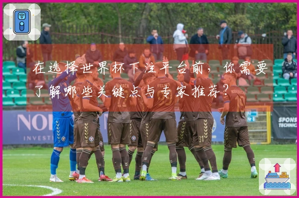 在选择世界杯下注平台前，你需要了解哪些关键点与专家推荐？