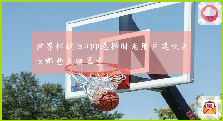 世界杯投注app选择时老用户建议关注哪些关键因素
