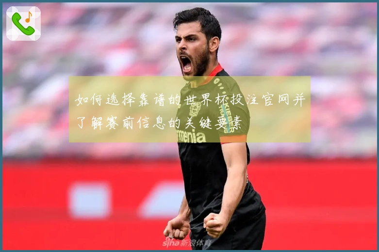 如何选择靠谱的世界杯投注官网并了解赛前信息的关键要素