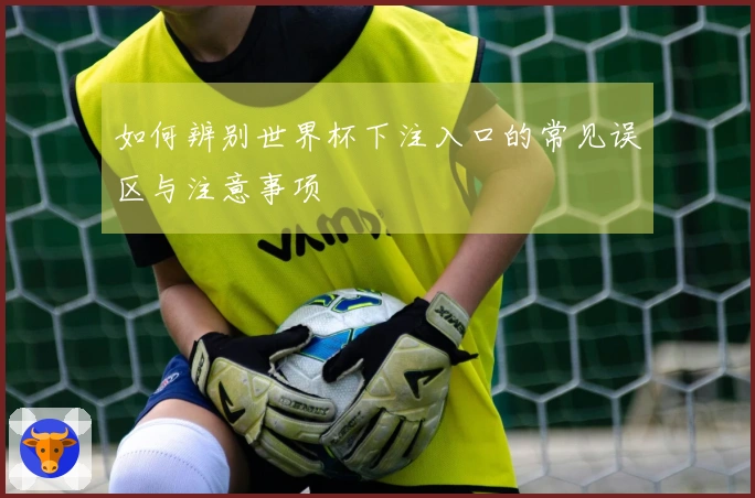 如何辨别世界杯下注入口的常见误区与注意事项