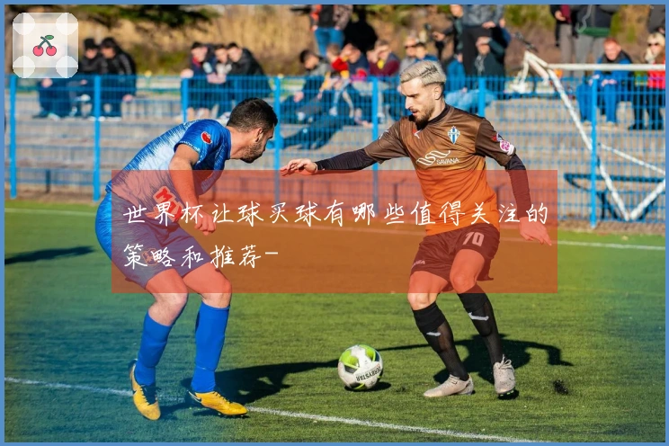 世界杯让球买球有哪些值得关注的策略和推荐-