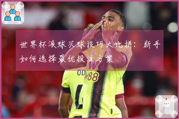 世界杯滚球买球技巧大比拼：新手如何选择最优投注方案