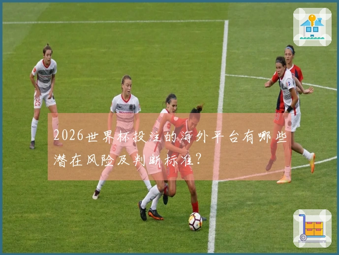 2026世界杯投注的海外平台有哪些潜在风险及判断标准？