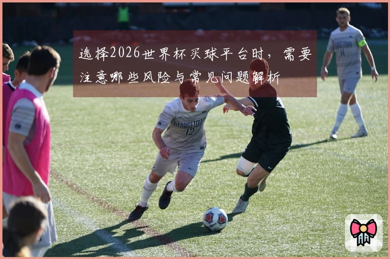 选择2026世界杯买球平台时，需要注意哪些风险与常见问题解析
