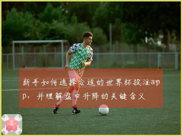 新手如何选择合适的世界杯投注app，并理解盘口升降的关键含义