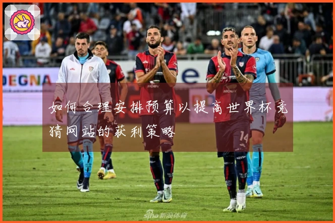 如何合理安排预算以提高世界杯竞猜网站的获利策略