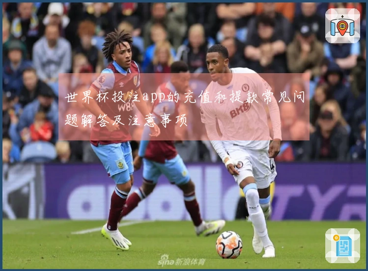 世界杯投注app的充值和提款常见问题解答及注意事项