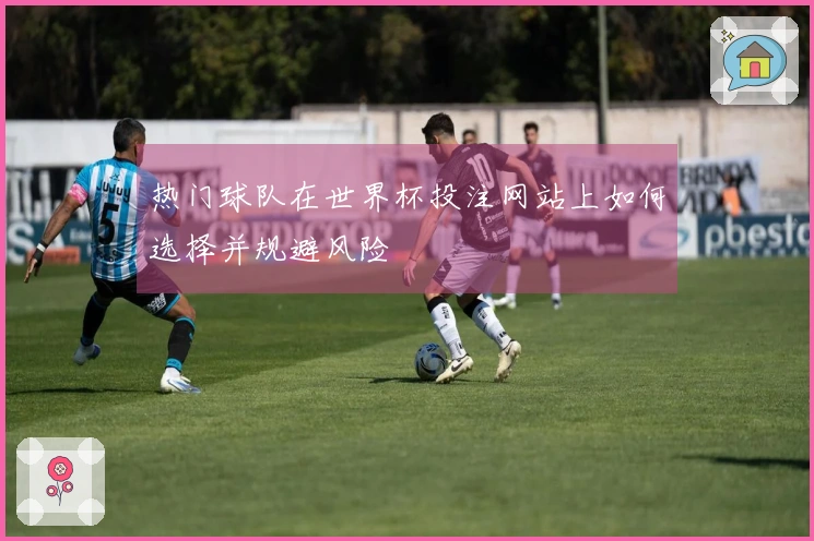 热门球队在世界杯投注网站上如何选择并规避风险