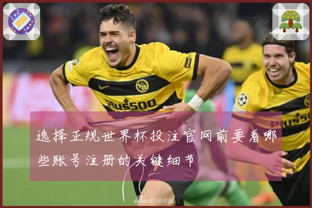 选择正规世界杯投注官网前要看哪些账号注册的关键细节