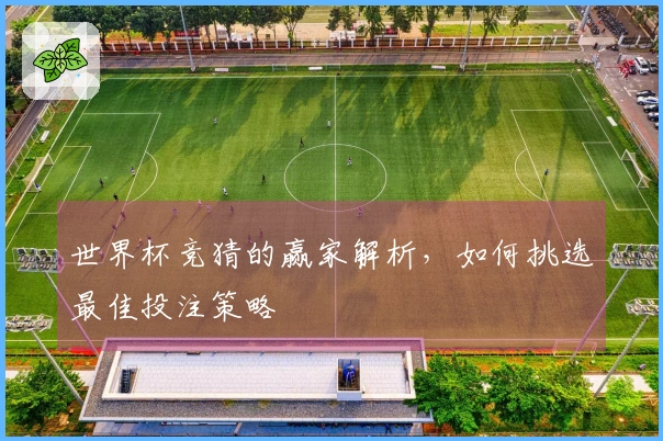 世界杯竞猜的赢家解析，如何挑选最佳投注策略